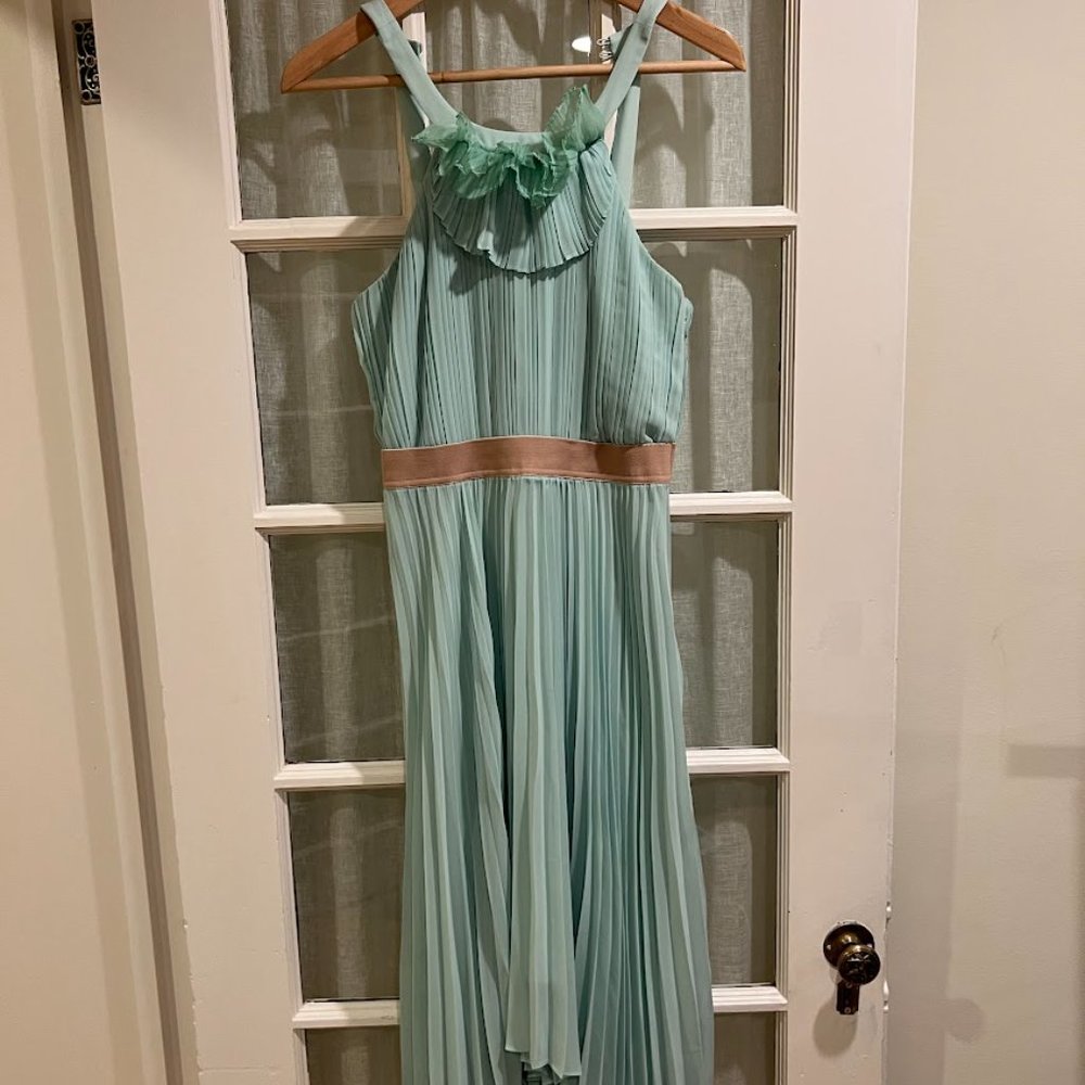 BCBG MaxAzria Pleated Dress